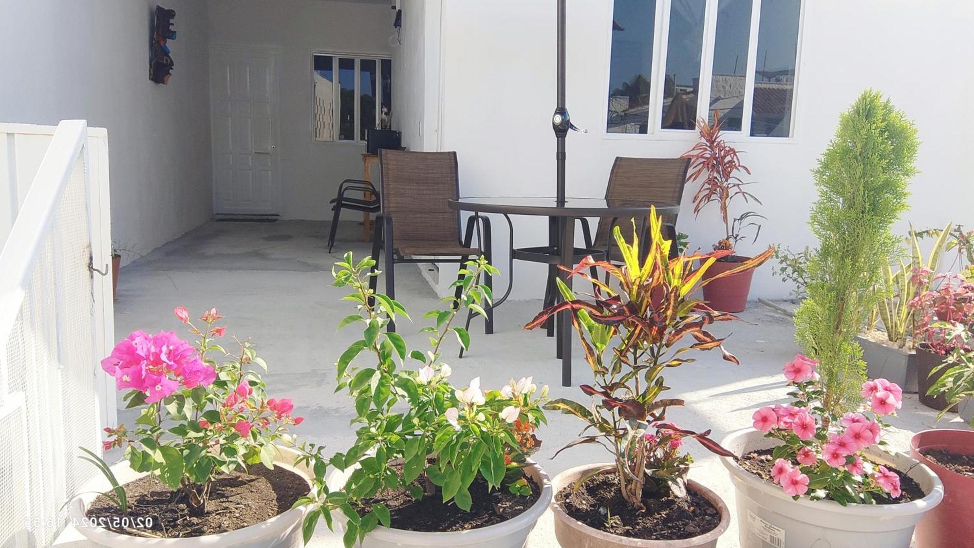 Hotel Tierra Maya à Playa del Carmen Extérieur photo